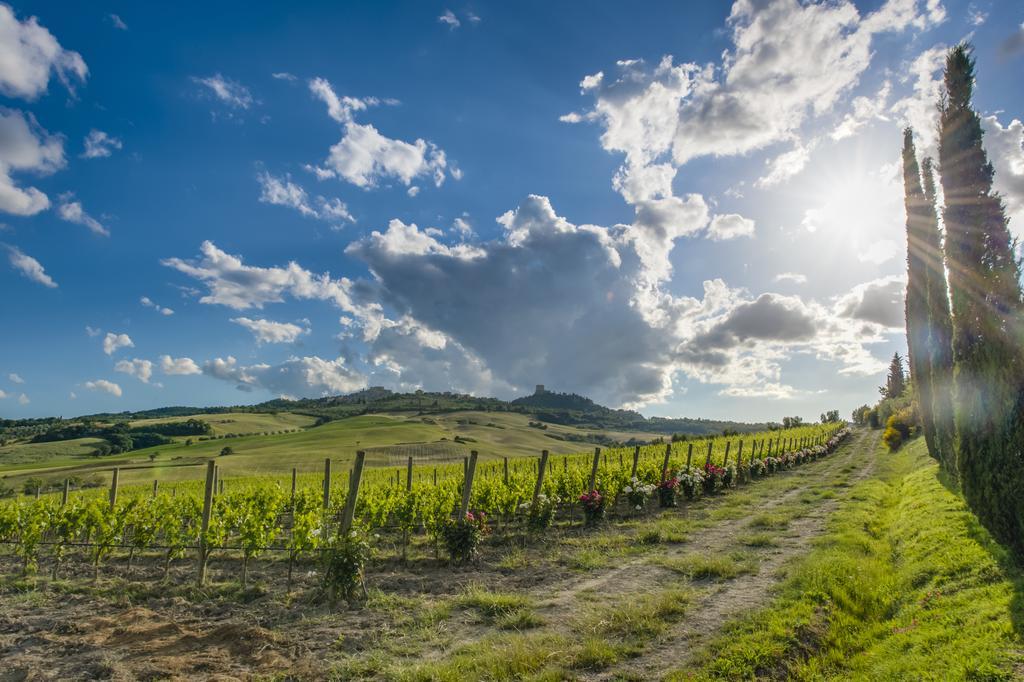 Agriturismo Poggio Istiano Баньо-Виньони Экстерьер фото