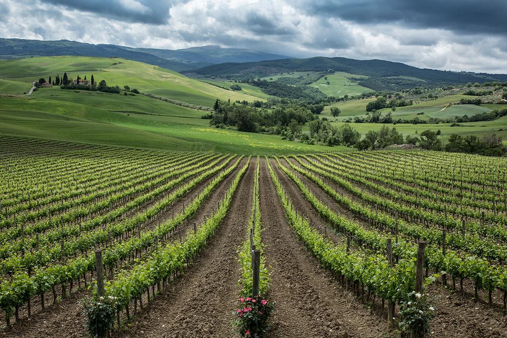 Agriturismo Poggio Istiano Баньо-Виньони Экстерьер фото